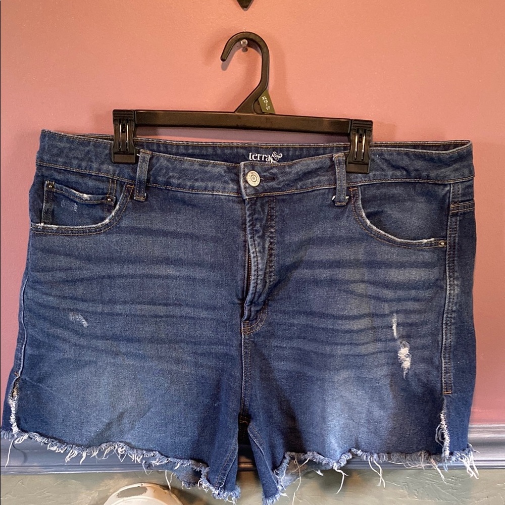 Terra & Sky Shorts